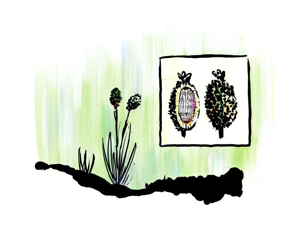 Plant
